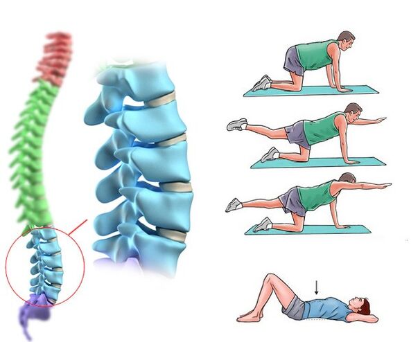 Fisioterapia eta masaje