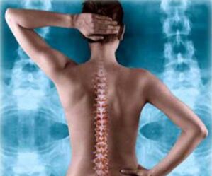 atzeko bizkarrezurra ilustrazioa